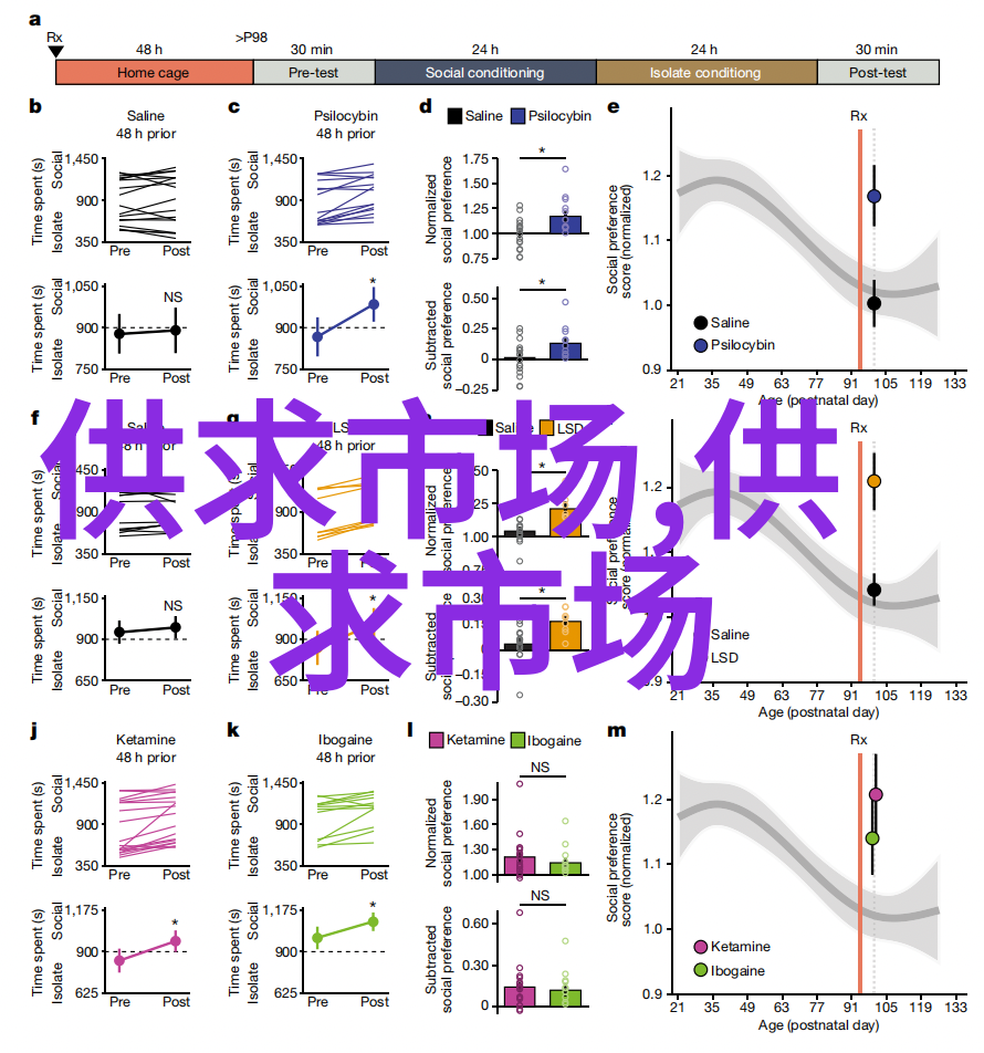 蛹虫草深加工