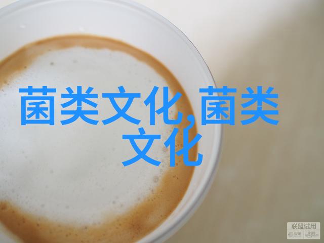 明熹宗钟情鸡枞