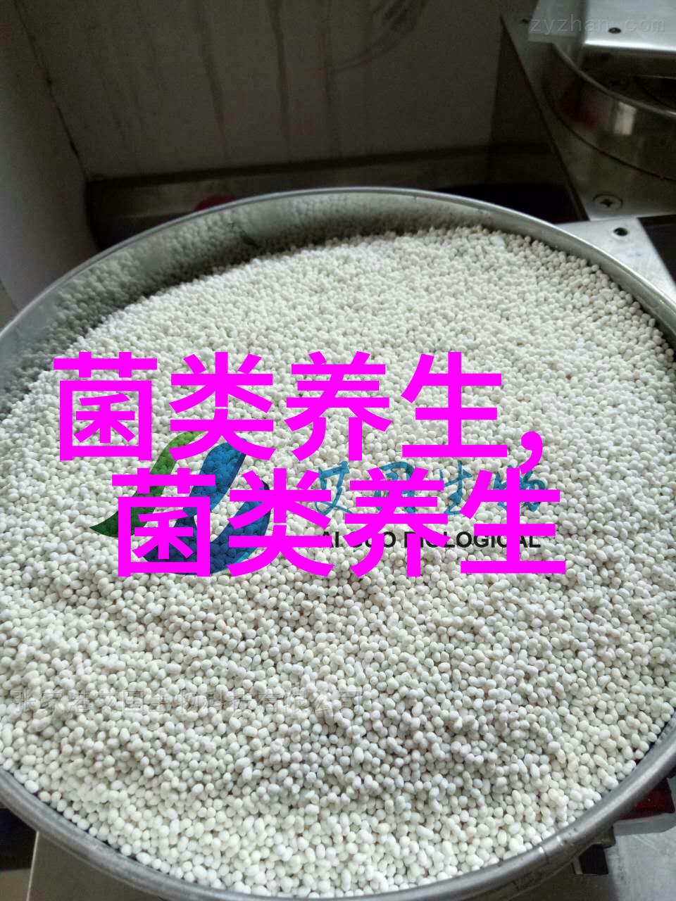 好看又好吃的蘑菇含有什么养生元素